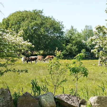 6 Person In Humble-by Traum * Nordenbro Vesteregn