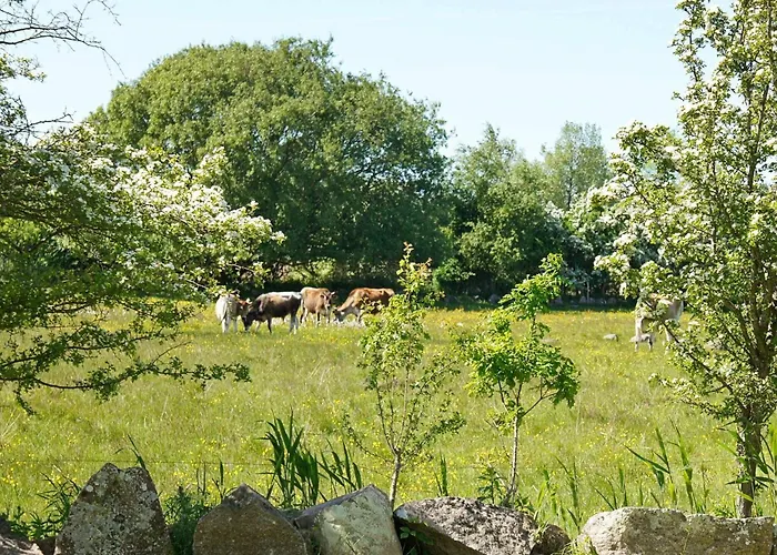 6 Person In Humble-by Traum * Nordenbro Vesteregn